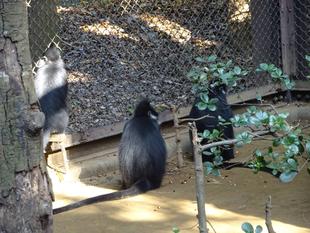 おいしいのはわかるけど・・・