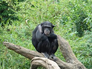 寒くなり.........