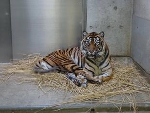 ちょっと前の話になりますが...③