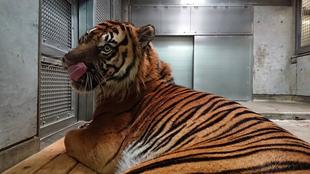 寒くなってきたので...