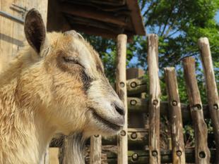 お花をいただきました。