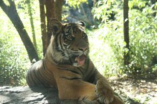 ちょっと前の話になりますが...①