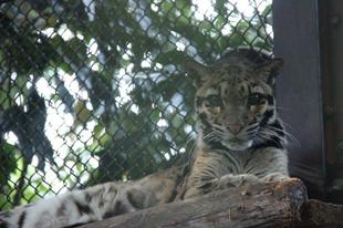 見やすくなりましたか??