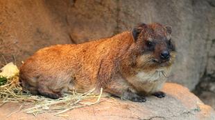 またまた寒い季節がやってきました。