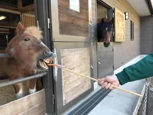 エサやり体験再開！！