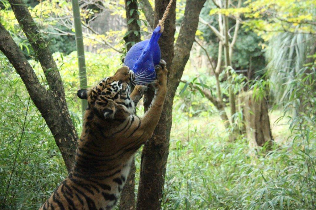 ちょっと前の話になりますが...②の写真