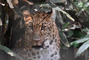 ダッシュ・12歳☆