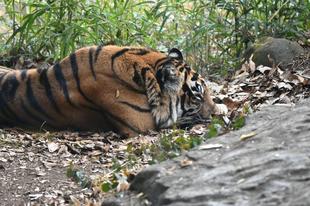 ちょっと前の話になりますが...⑨