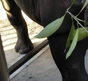 アキリ、一歩前進(^^;)