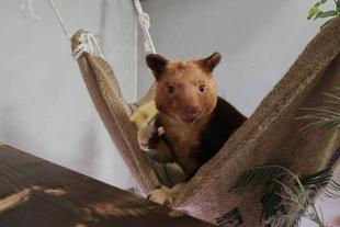 ジャヤ・メイがドイツからやってきました！