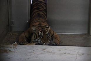 ちょっと前の話になりますが...⑤