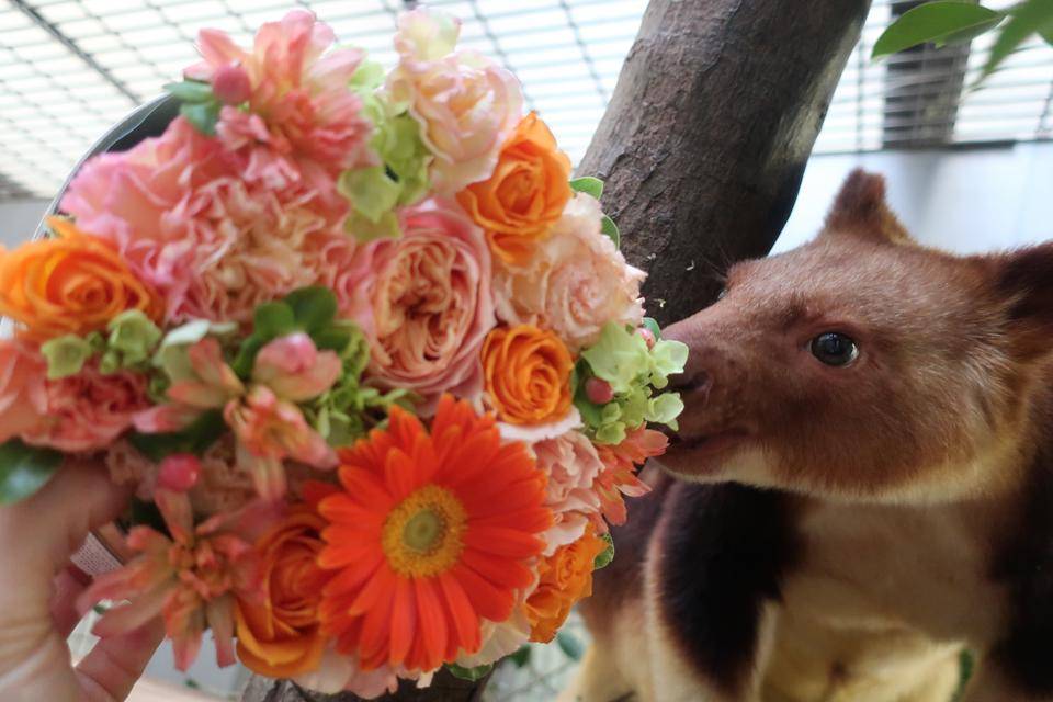 12月17日はタニのお誕生日でした☆の写真