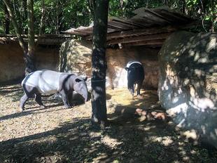 寒い冬を暖かく大作戦〜前編~