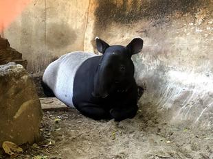 寒い冬を暖かく大作戦～後編～