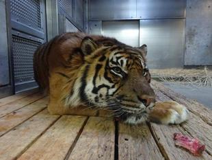 元気にしてますよ('ω')ノ