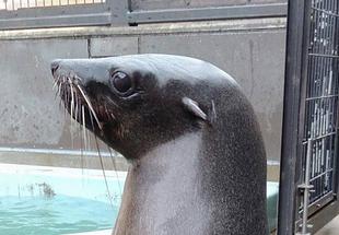 はじめての運動場