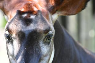 ララ☆おめでとう!!