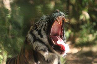 ちょっと前の話になりますが...最終回