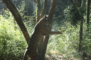 ちょっと前の話になりますが...⑥