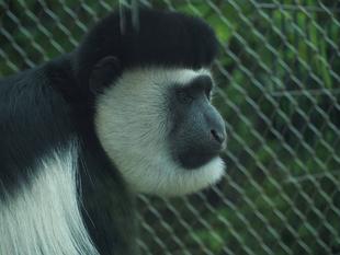 展示を再開しました!!