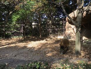 この時期ならでは！！