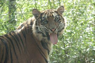 ちょっと前の話になりますが...⑧