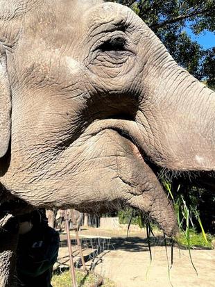 最近、気づいたこと