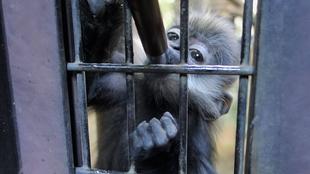 プチ・リニューアル