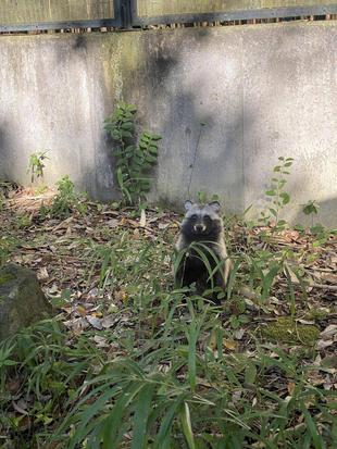 いざ、展示場へ!!