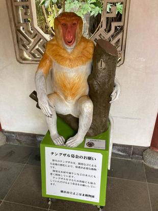 非展示中のテングザル展示場付近☆*＋。