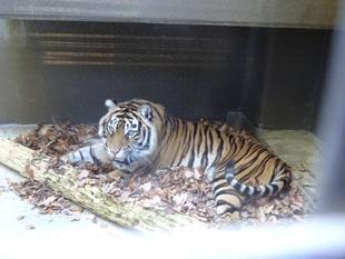 少し前の事ですが・・・①