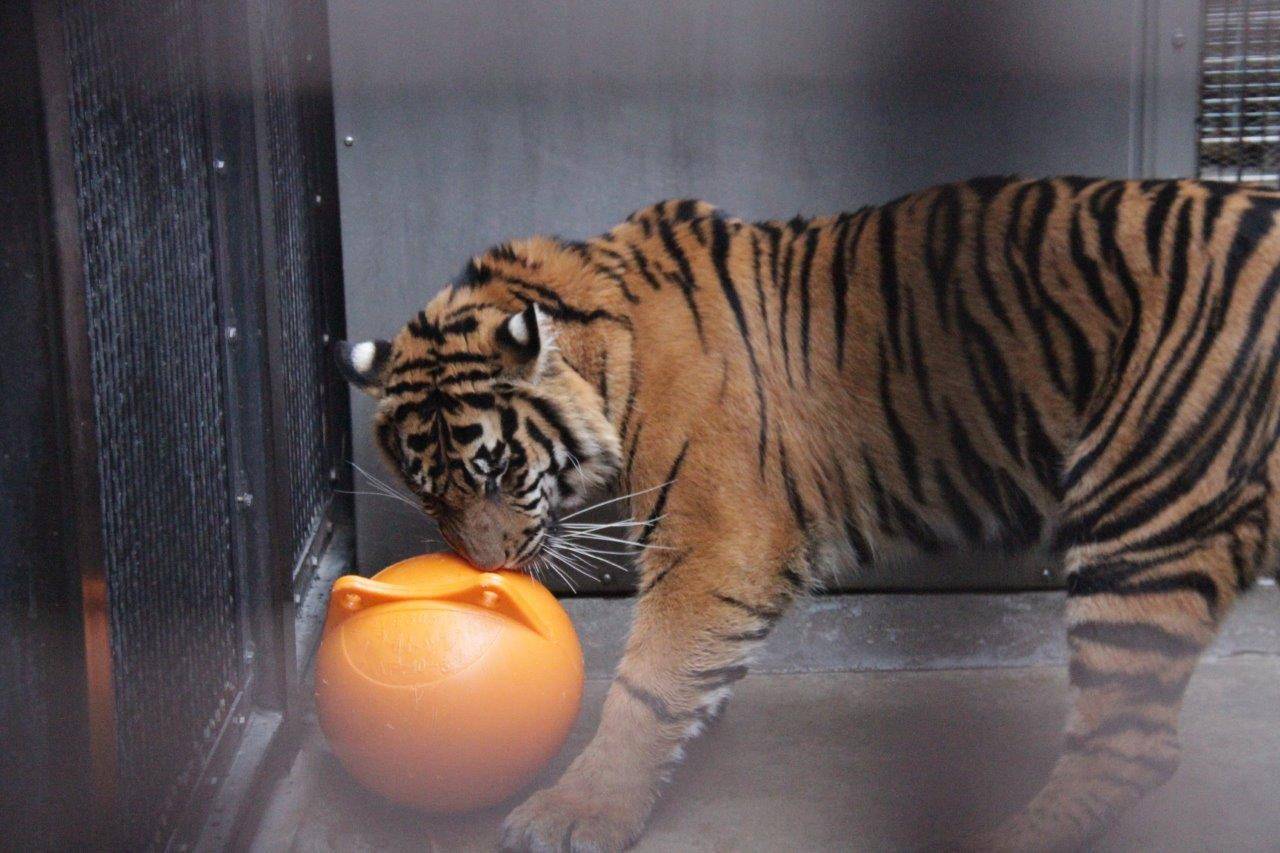 少し前の事ですが・・・④の写真