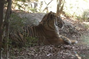 ガンター降臨－②