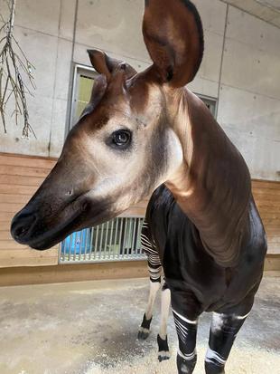 音はどこから・・？？