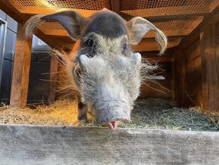 便利アイテム？？