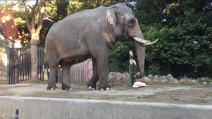 お正月に特別な餌プレゼント！
