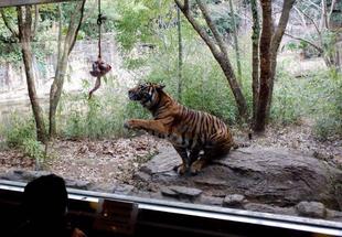 クリスマス、再び・・・