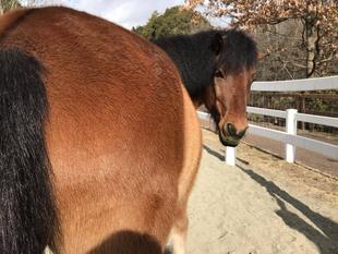 測りましょう！！