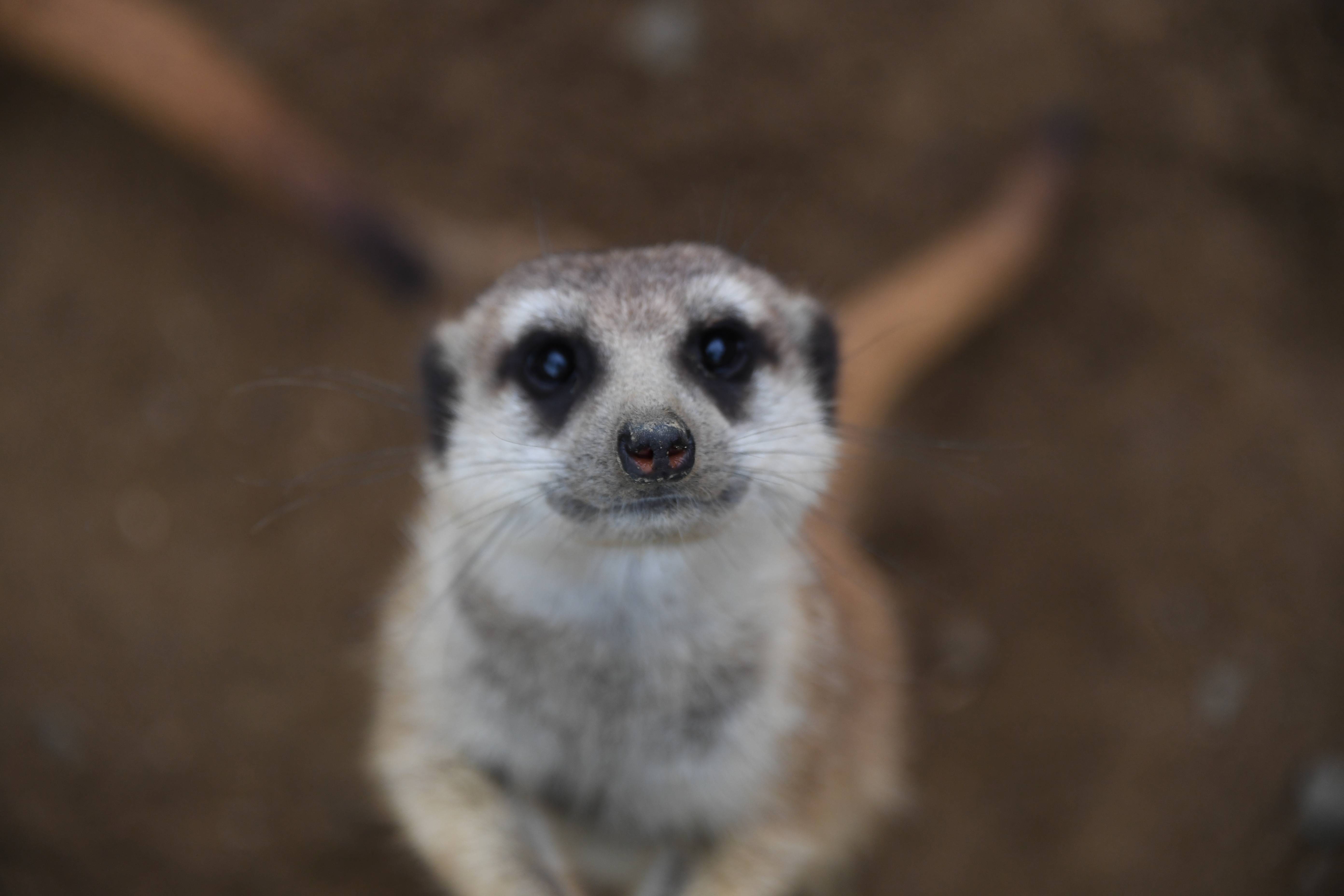 しばらくお休みしますの写真