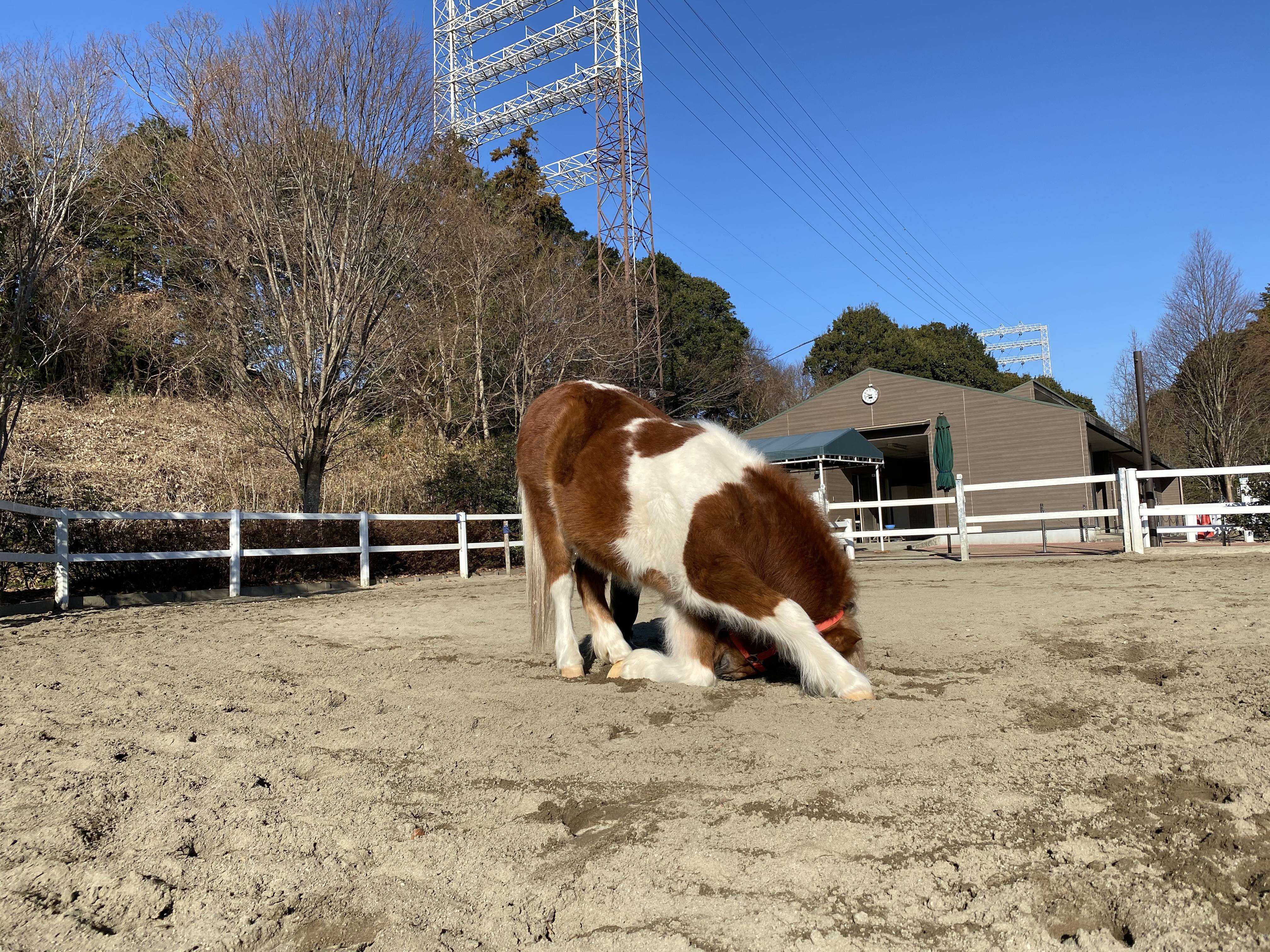 とっておきのプレゼントの写真