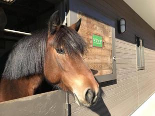 ぱかぱか広場のエサやり体験の中止のお知らせ