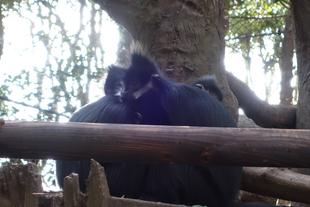 寒かったのね②