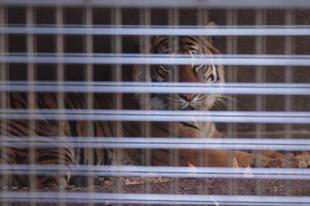 少し前の事ですが・・・②