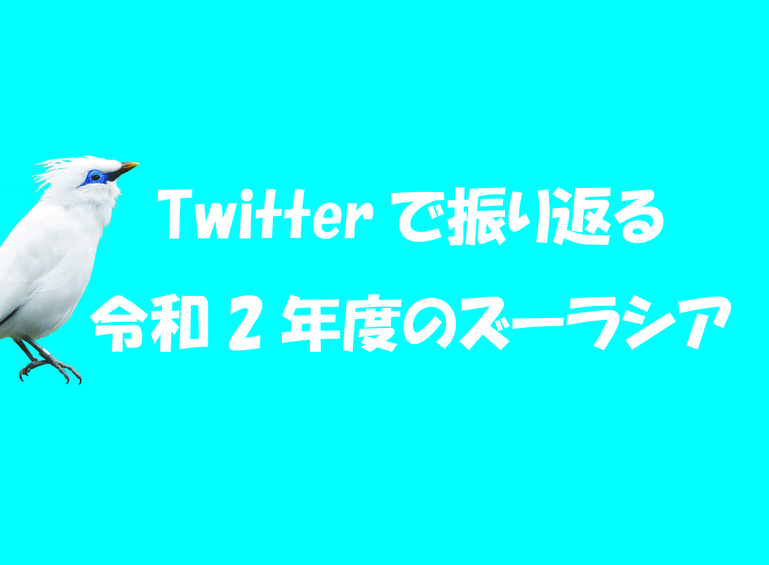Twitterで振り返る2020年度のズーラシア!♦パート2♦の写真