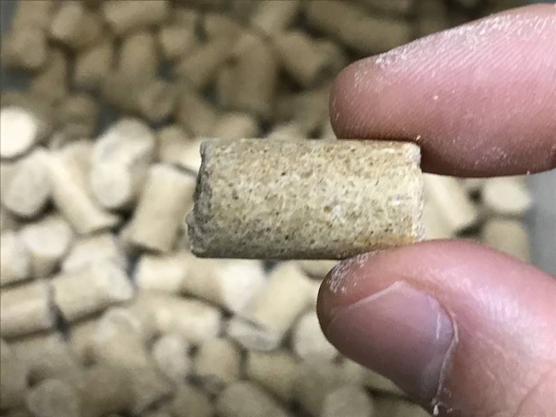だれのごはん?の写真