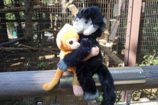 担当者もおすすめです♪