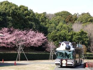 ズーラシアの春事情①