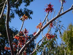 ～もうすぐ春ですね～