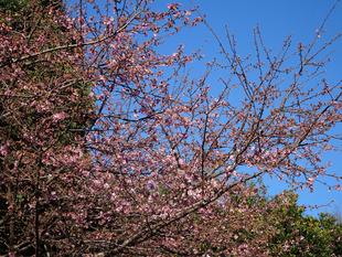 ズーラシア春夏秋冬 ~あれ? もう!?~