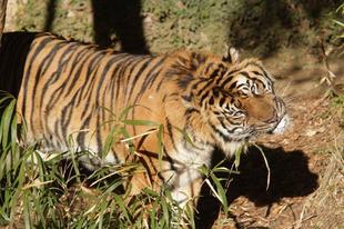 少し前の事ですが・・・⑥